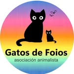 gatosfoios